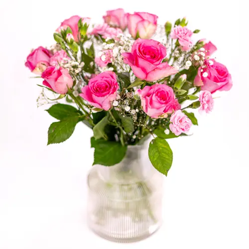 Rosa elegans
