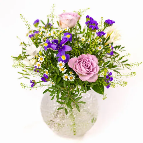 Söt Iris