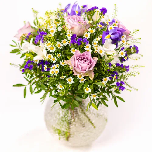 Söt Iris