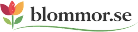 blommor.se