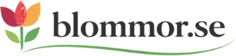 blommor.se